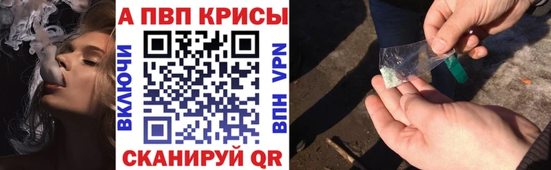 OMG ONION  Няндома  A PVP VHQ 