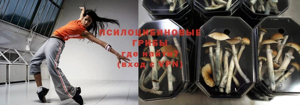 ешки Белоозёрский