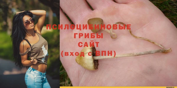 гашиш Беломорск