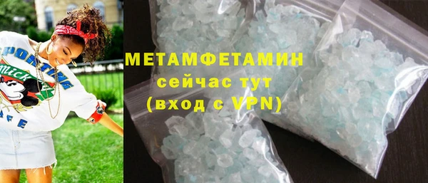 гидра Богородицк
