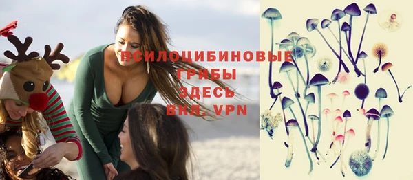гидра Богородицк