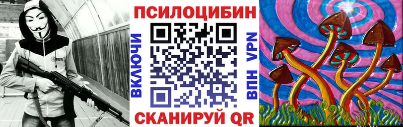 закладка  Няндома  Псилоцибиновые грибы мицелий 